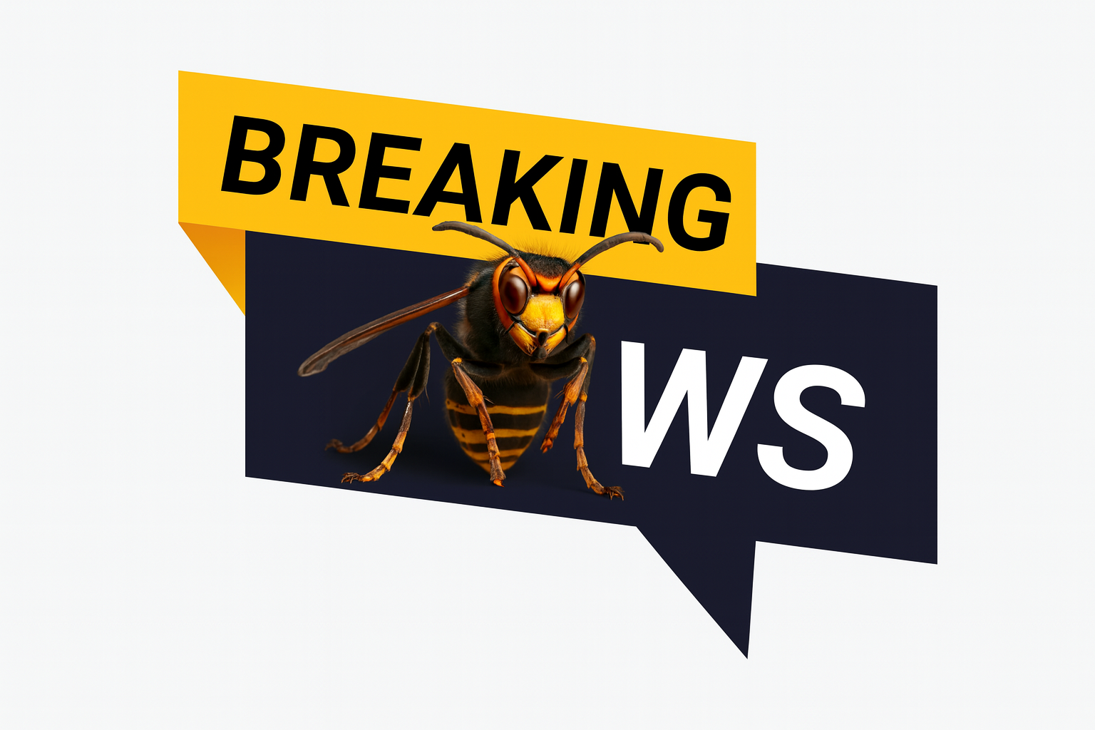 Vespa Alert Belgium news