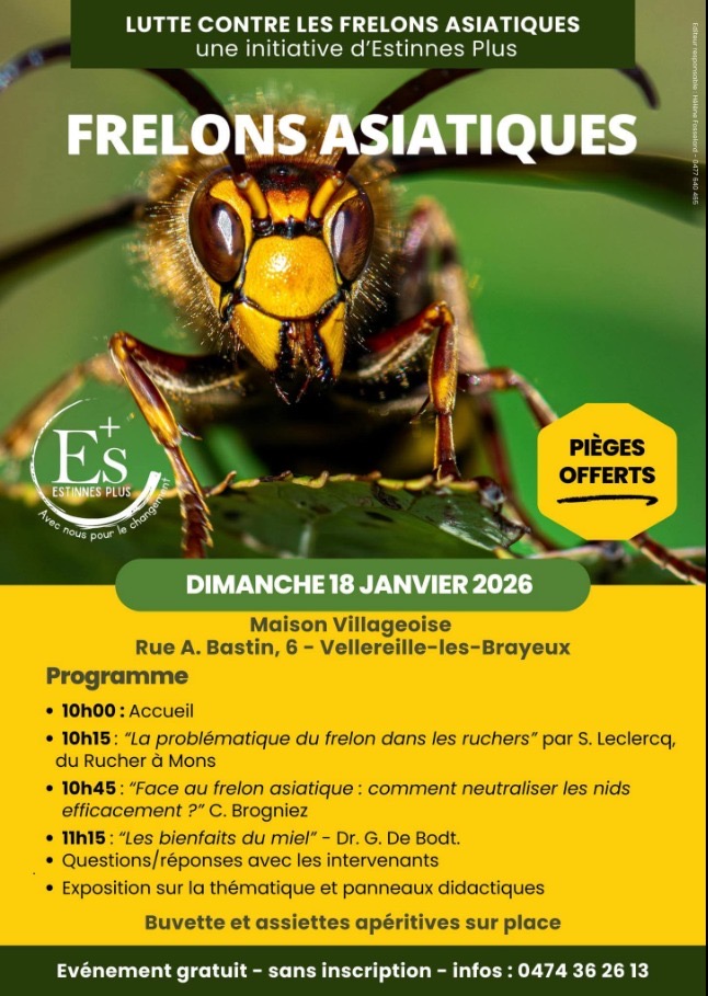 Affiche : Frelons asiatiques — Agir localement