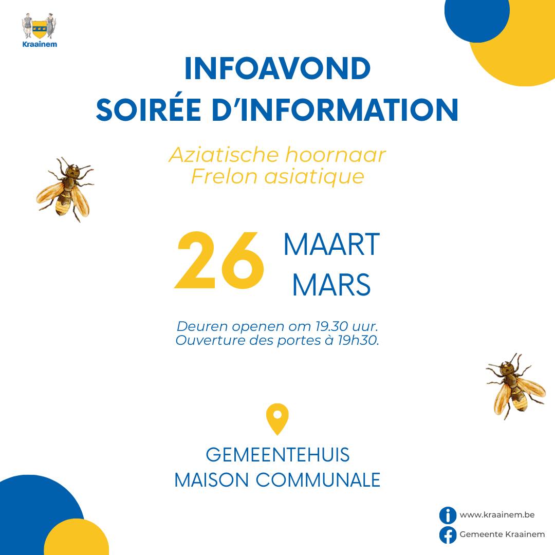 Affiche : Soirée d'information sur le frelon asiatique — Kraainem