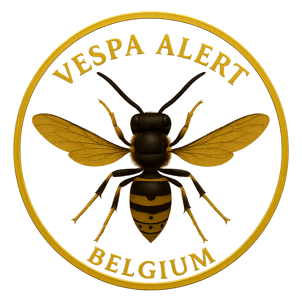 Logo Vespa Alert Belgium