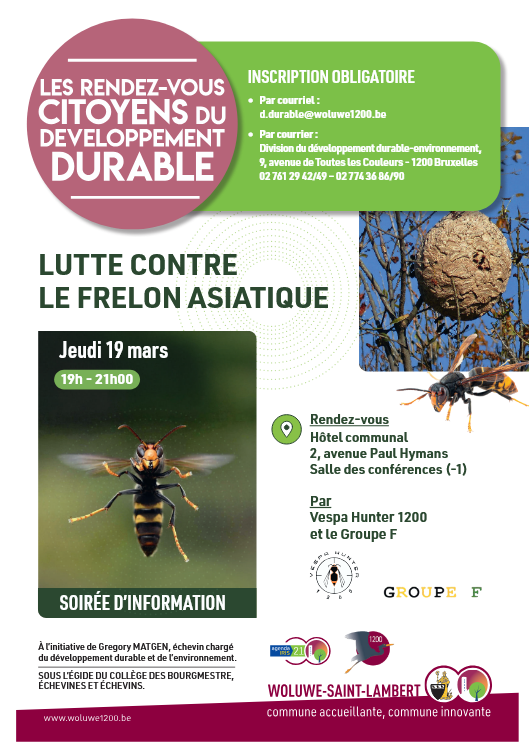 Affiche : Soirée d’information pour la lutte contre le frelon asiatique — Woluwe-Saint-Lambert