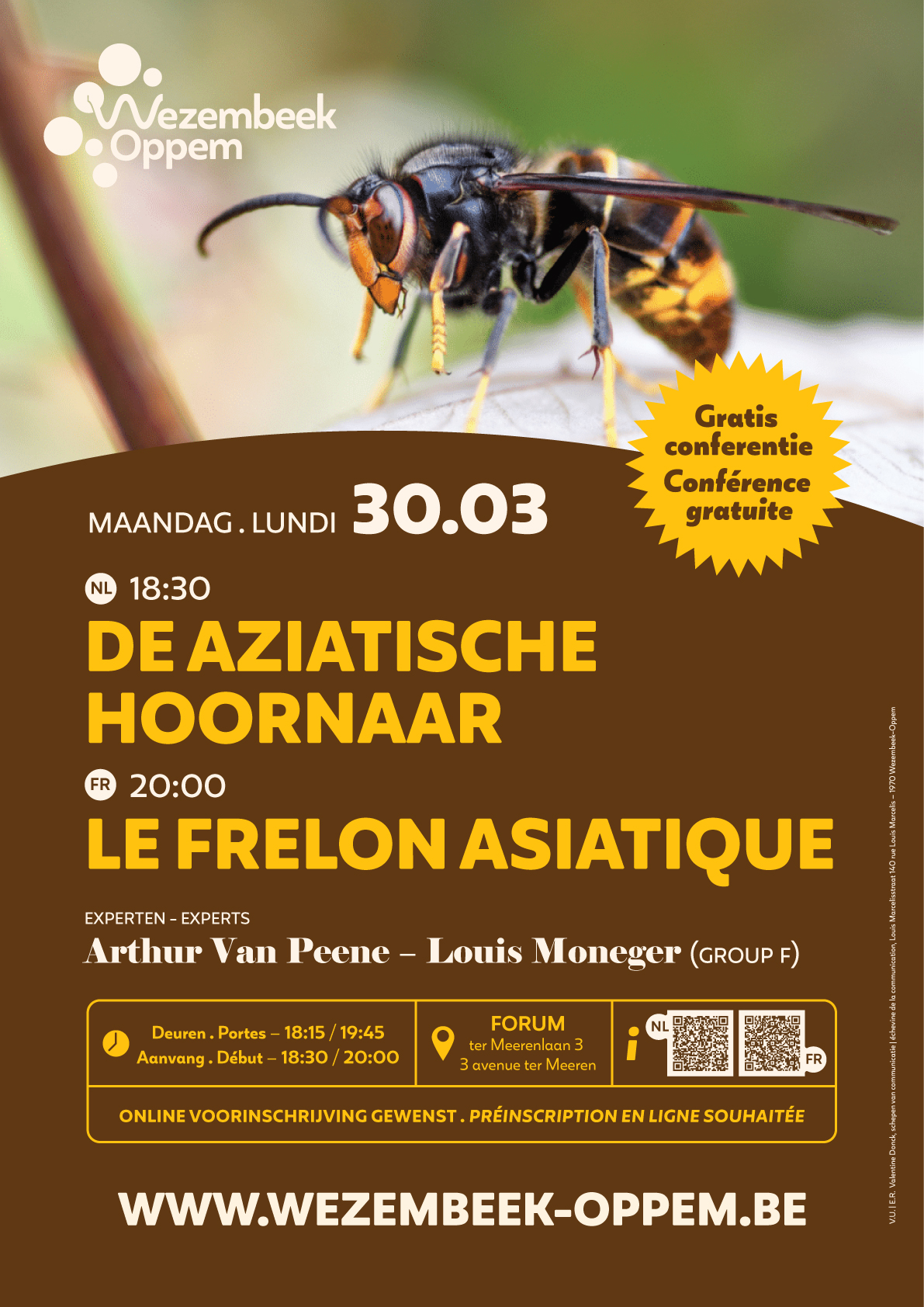 Affiche : Soirée d’information pour la lutte contre le frelon asiatique — Wezembeek-Oppem