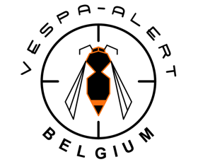Wie zijn wij - Vespa Alert Belgium